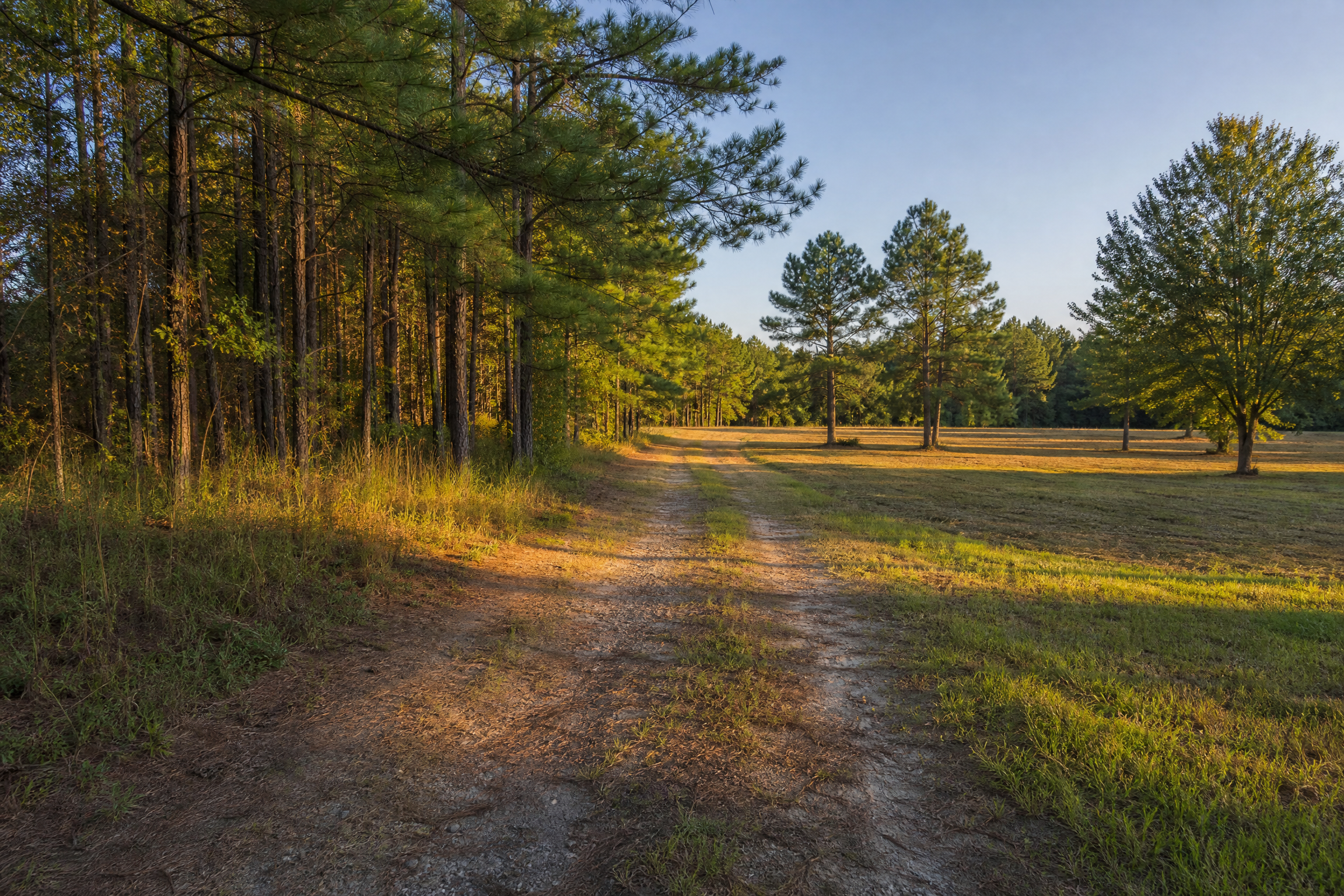Ground photography